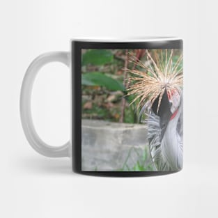 Crested Crane Mug